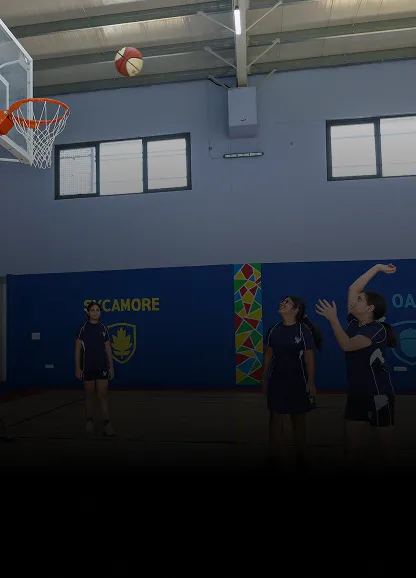 Indoor Basketball Court